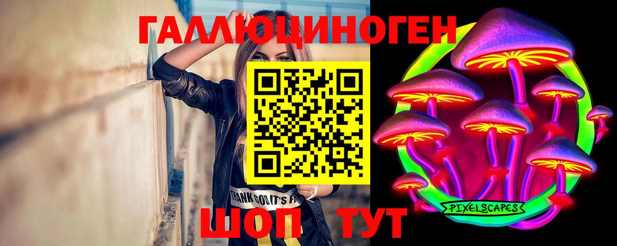 Псилоцибиновые грибы Psilocybine cubensis Гай